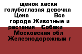 щенок хаски  голубоглазая девочка › Цена ­ 12 000 - Все города Животные и растения » Собаки   . Московская обл.,Железнодорожный г.